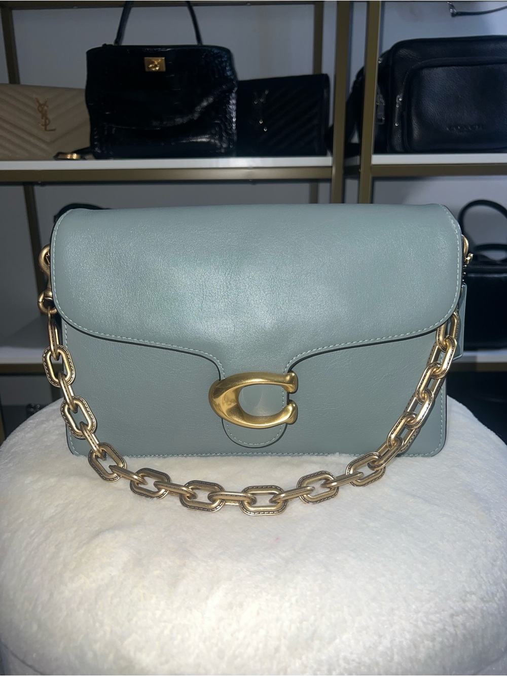 Coach chain tabby in sage